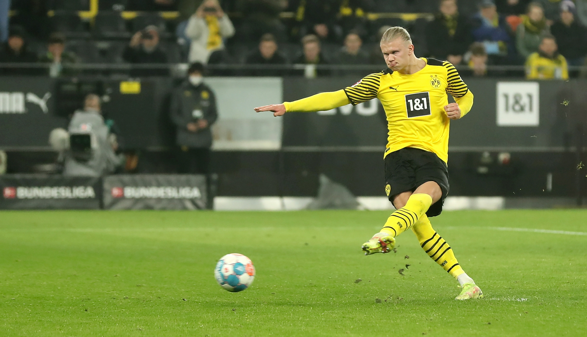 YZYX15型螺旋榨油机