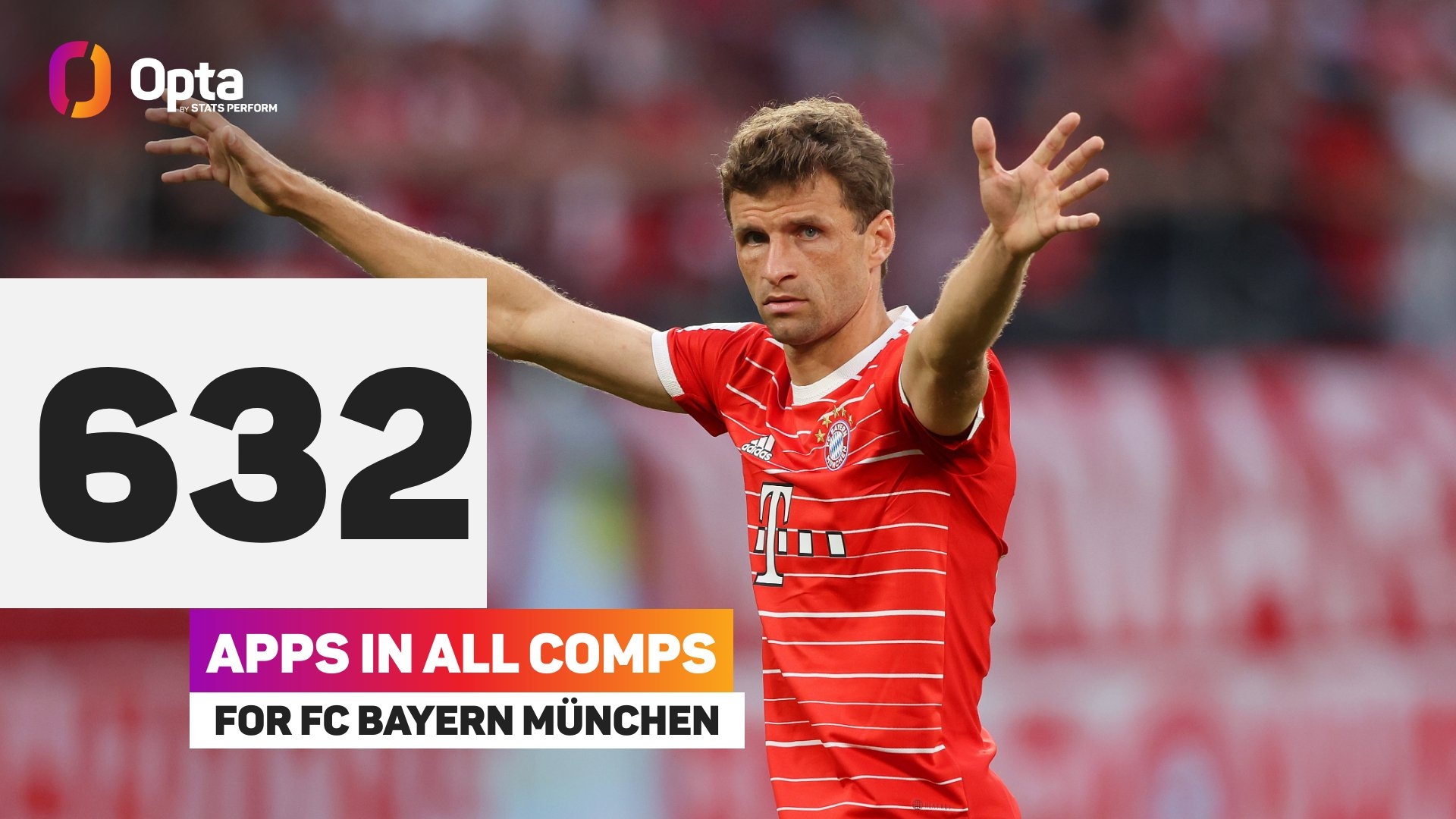 10吨植物油精炼设备